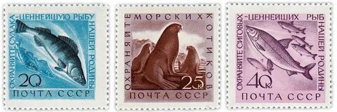 1960 животного