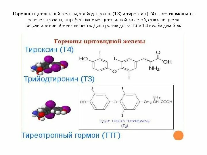 Гормоны щитовидной железы трийодтиронин. Тироксин гормон щитовидной железы функции. Гормоны щитовидной железы тироксин и трийодтиронин. Тироксин гормон формула. Какие железы вырабатывают тироксин