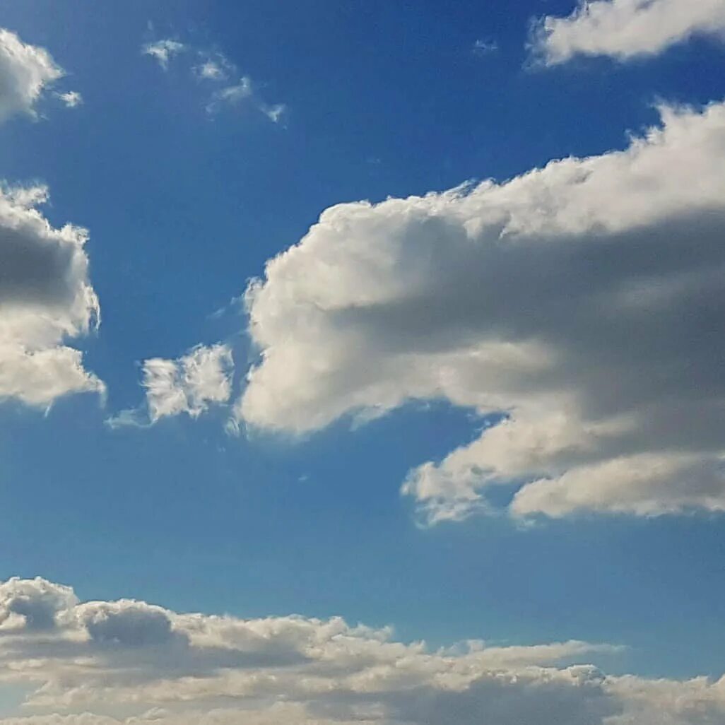 Обитатель облаков. Интересные облака. На что похожи облака. Облака разной формы. Облака похожие на животных.