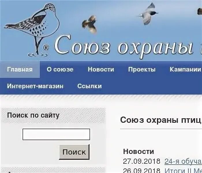 Союз охраны птиц россии птица года 2024