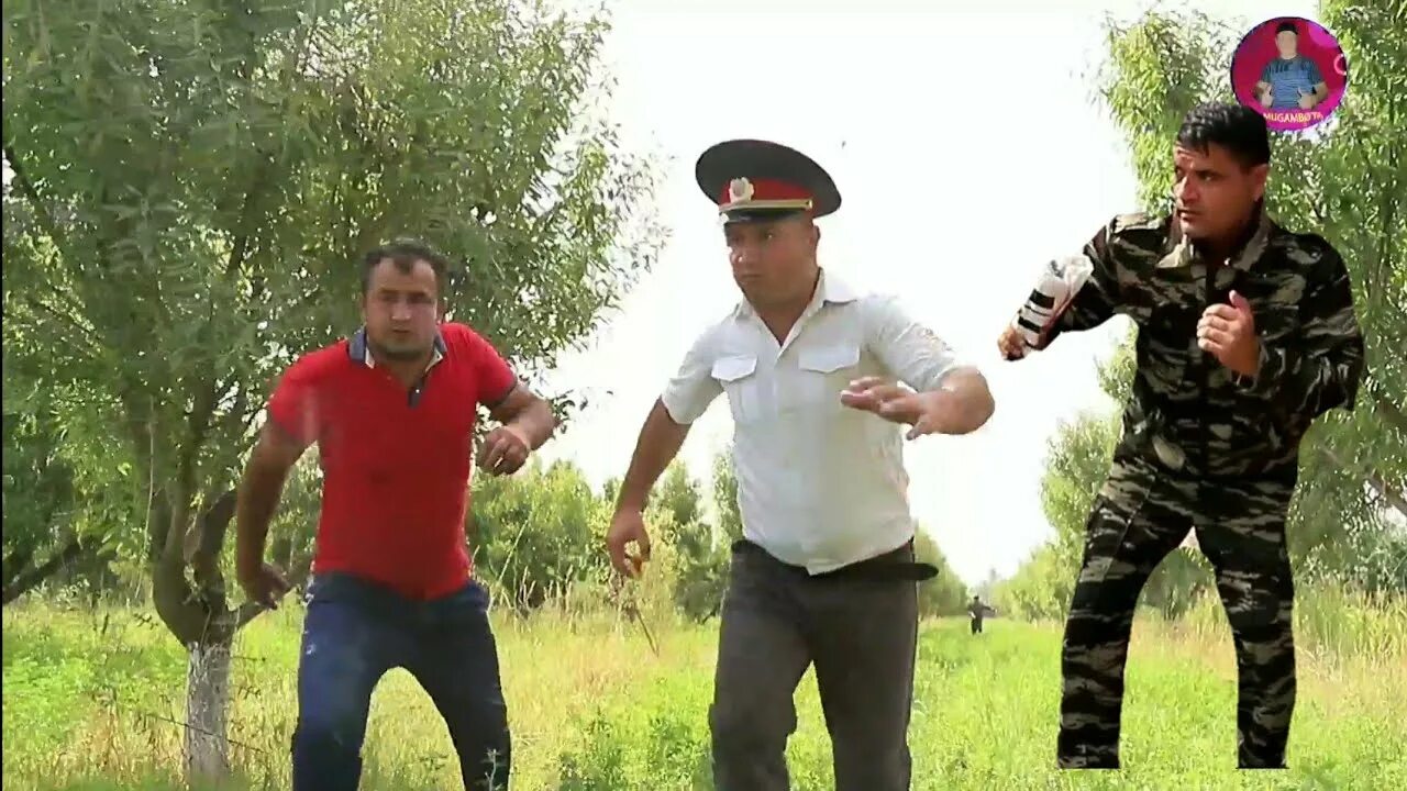 Аблава точикистон