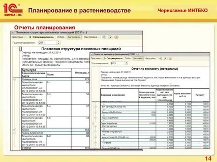 Мсх отчет