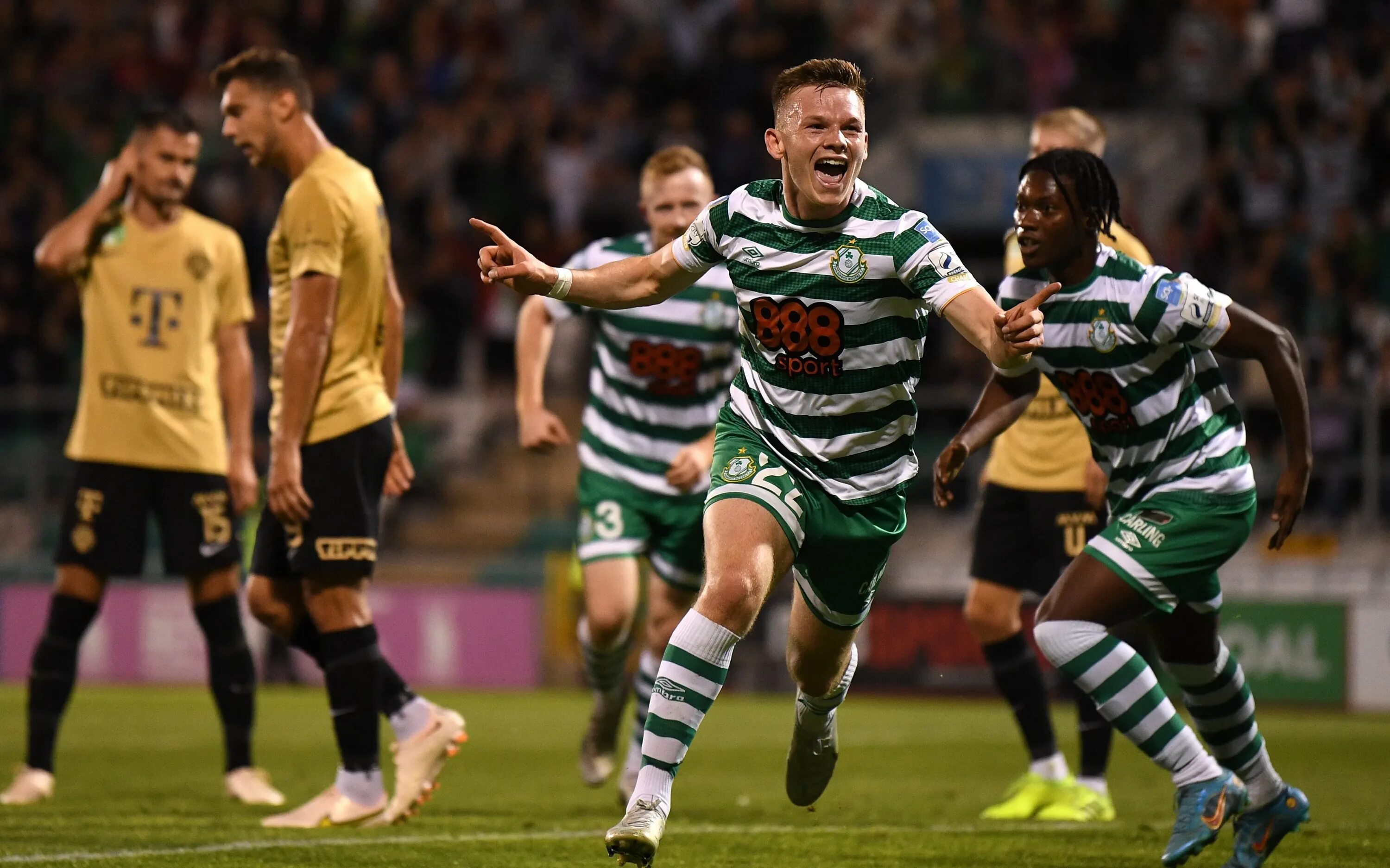 слайго роверс шемрок роверс