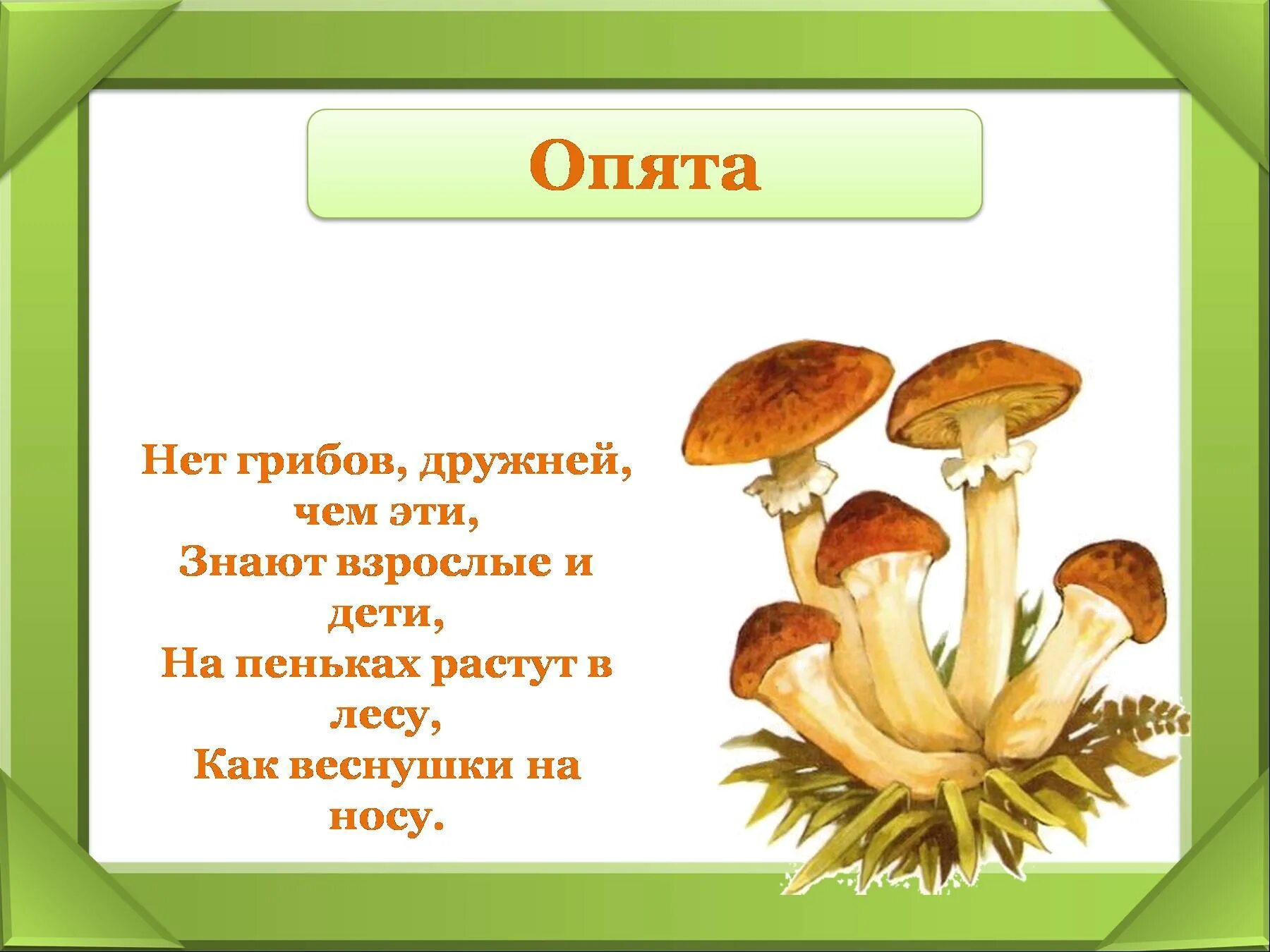 Презентация грибы для дошкольников. Грибы рассказ для детей. Грибы презентация 1 класс. Загадки про грибы с картинками. Рыжик составить предложение