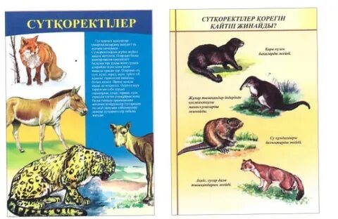 Ресейден алынған хардкор порно