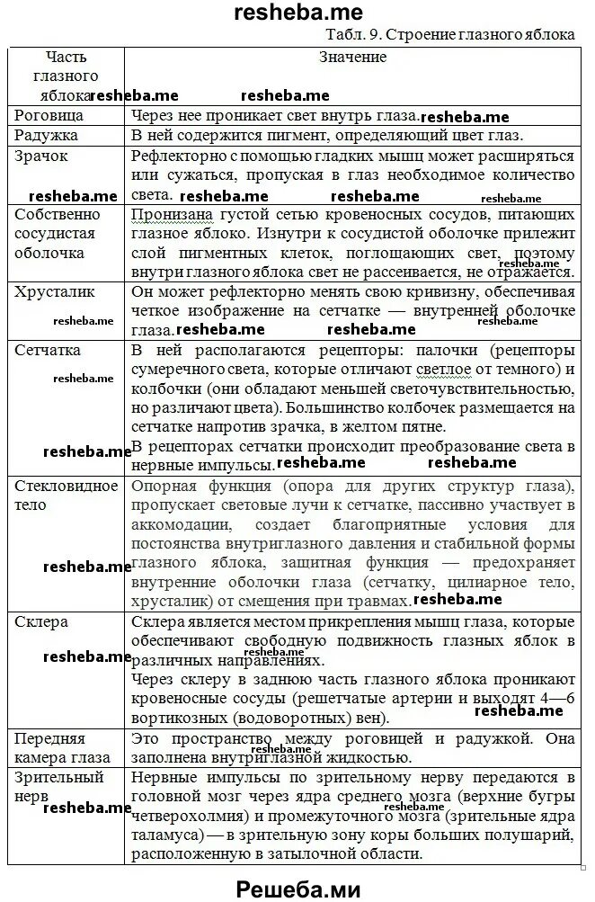 Глазное яблоко функции таблица. Глазное яблоко строение и функции таблица 8 класс. Таблица зрительный анализатор 8 класс. Строение и функции структуры глазного яблока таблица. Строение глазного яблока таблица 9 класс.