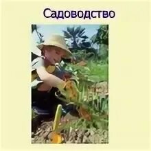 Высокий рост интерес к садоводству