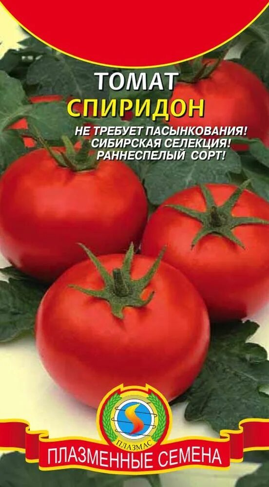 Название семян помидор. Семена помидор. Семена томатов низкорослые скороспелые.