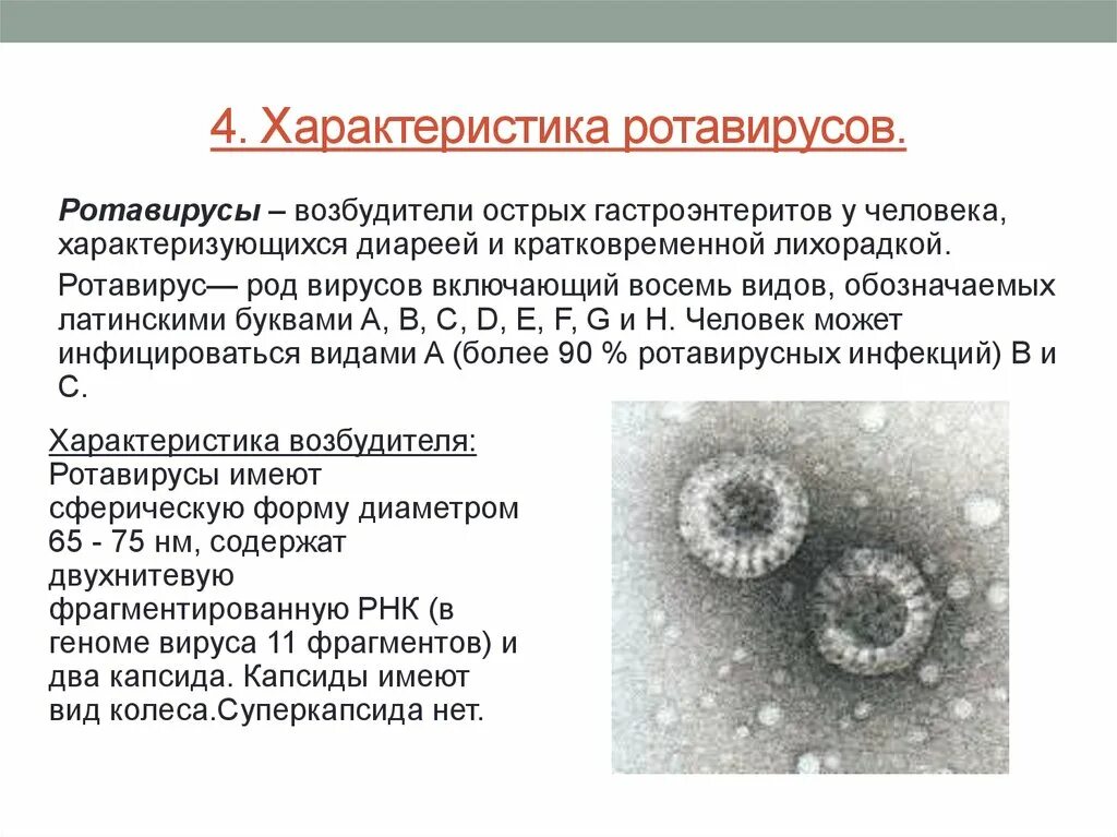 Ротавирусная инфекция возбудитель