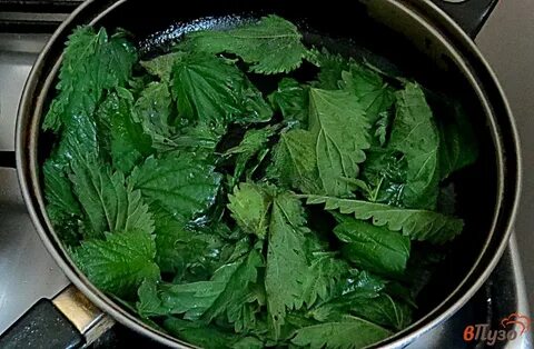 Крапива мясо