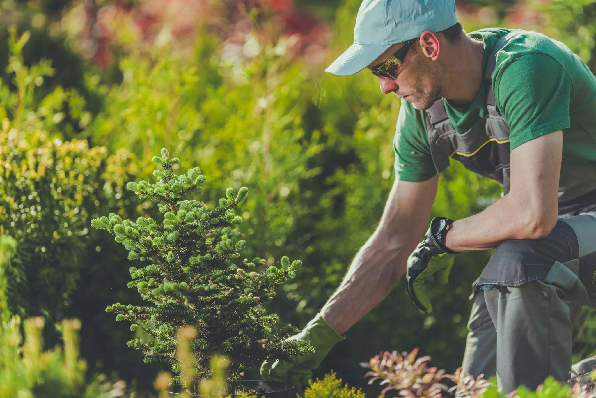 Planting plus. Садовник. Озеленитель. Профессия садовник. Цветовод озеленитель.