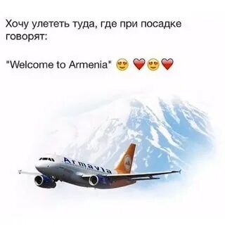 А они улетать не хотят