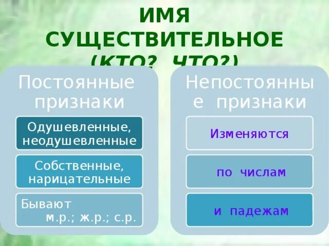 Выбери все постоянные я вижу чайку. Выбери все постоянные я вижу чайку