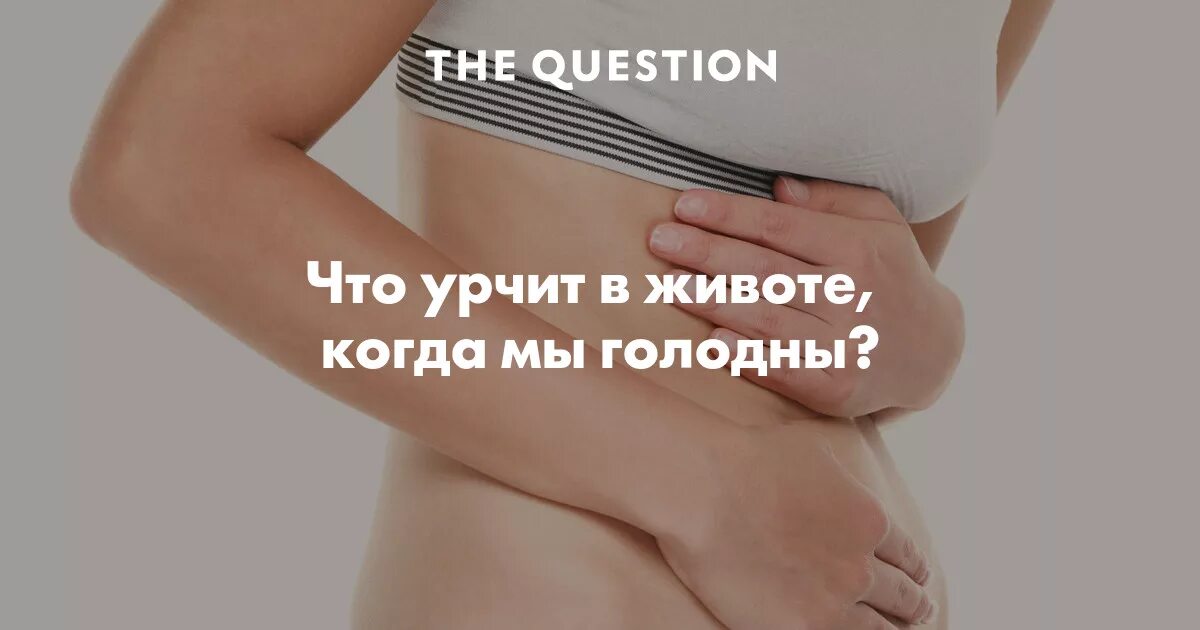 почему урчит живот. почему урчит живот. почему урчит живот. почему желудок издает звуки. булькающий звук в желудке.