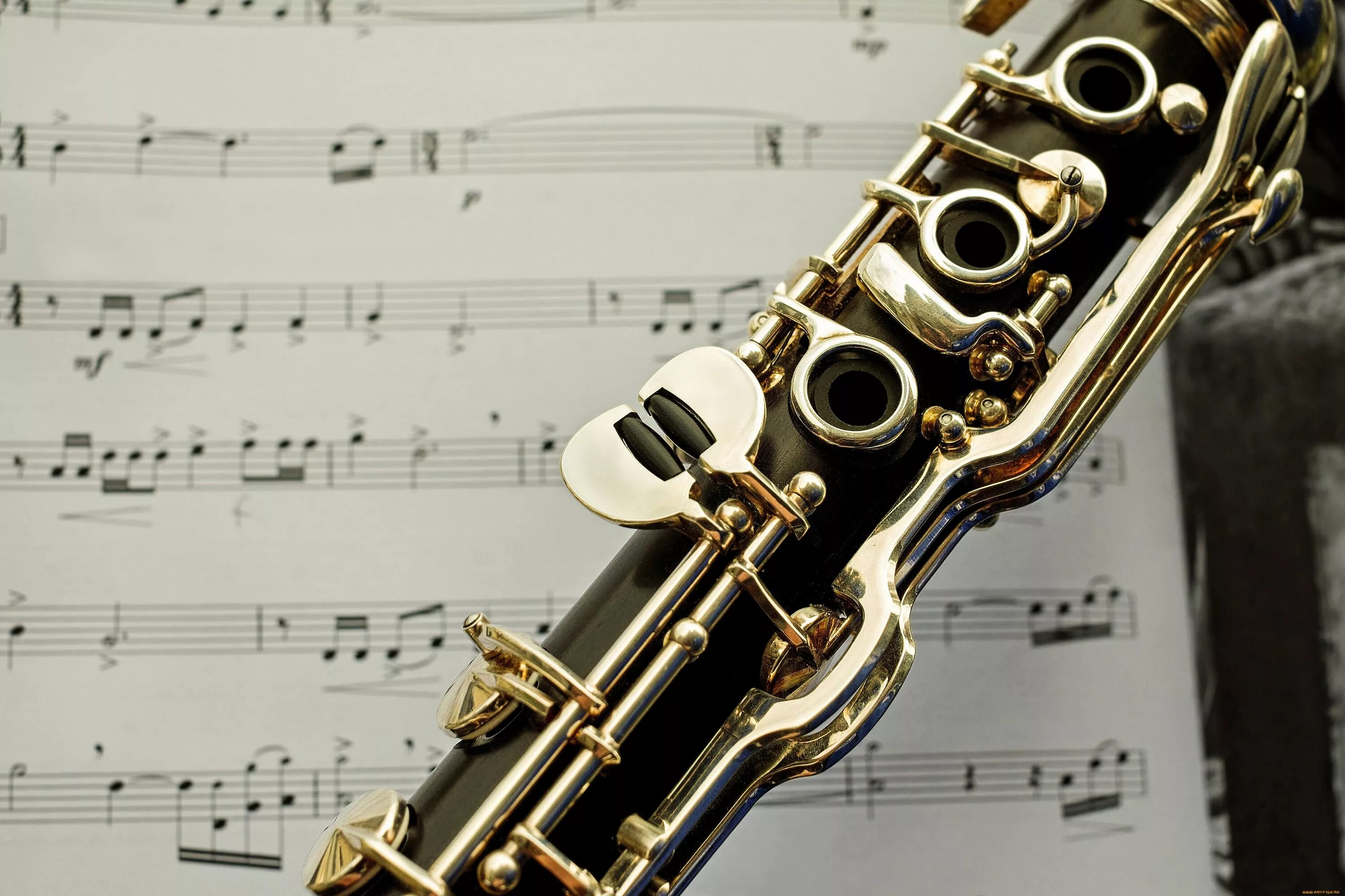 Кларнет музыканты. Саксофон Пикколо. Духовые инструменты кларнет. Саксофон флейта кларнет. Кларнет Пикколо.