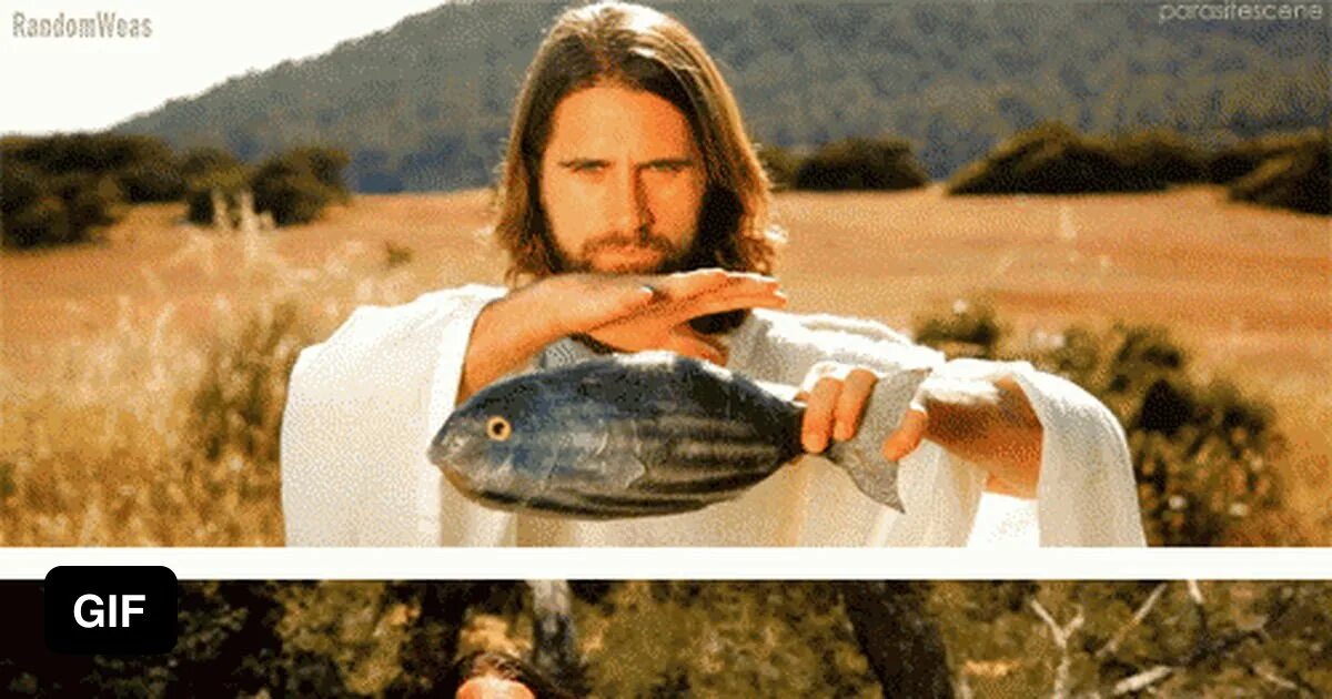 It is a fish
