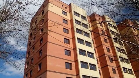 Тула академика