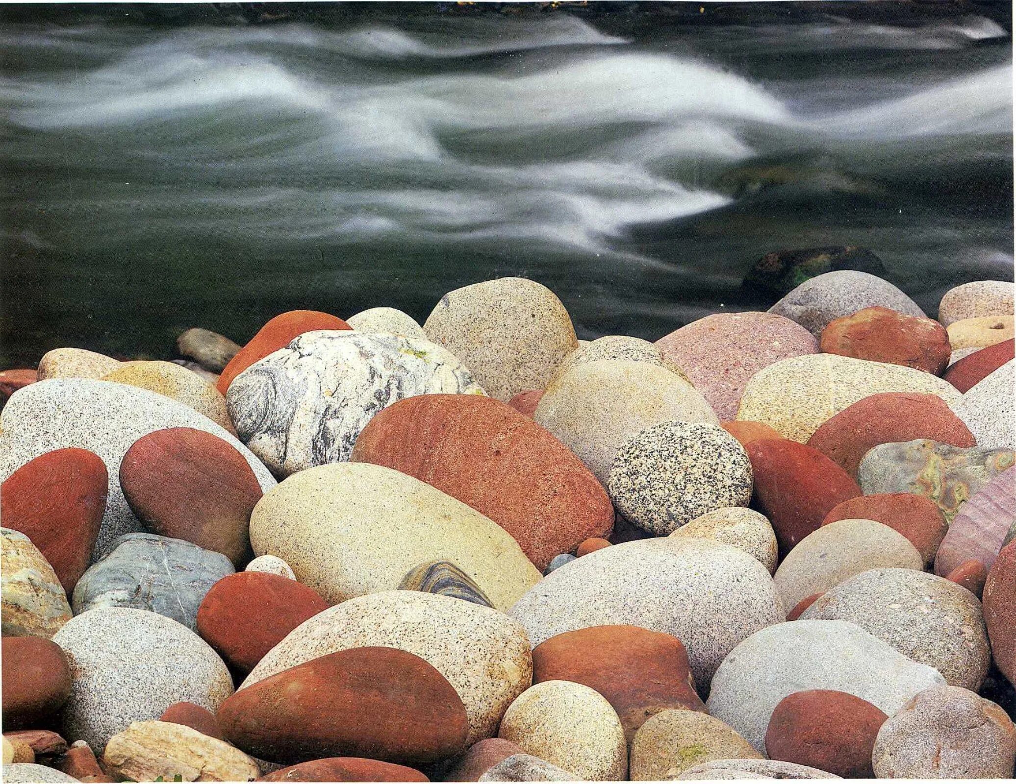 Дэвид Мюнх. Дэвид Мюнх фотограф. Красивые камушки. Морские камни.