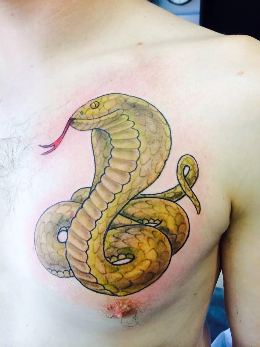Тату змеи на груди. Тату Кобра. Тату желтая змея. Змея на груди. Тату Кобра на груди.