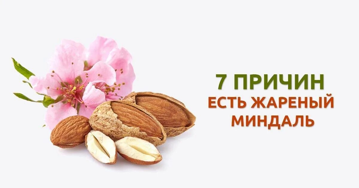Польза миндального ореха. Миндаль состав. миндаль польза для организма. миндаль польза. миндаль микроэлементы.