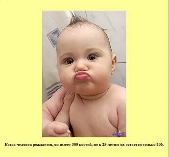 Детские факты