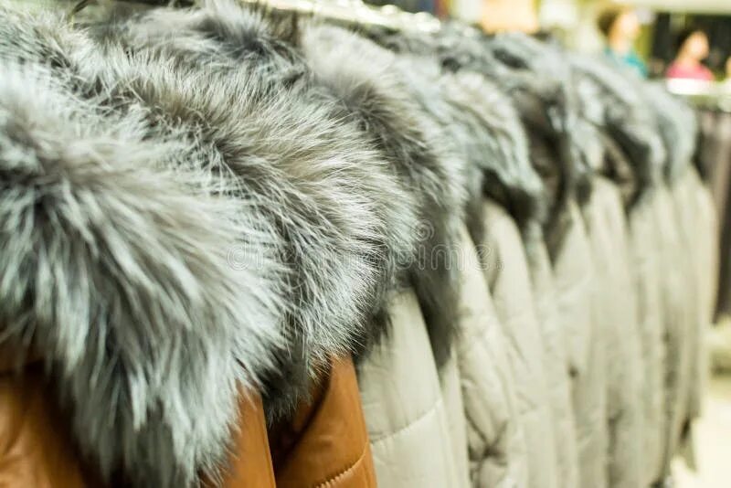 Мех ряд. Шуба разного цвета. Меховая промышленность. Пушно-меховые товары. Мех норки.