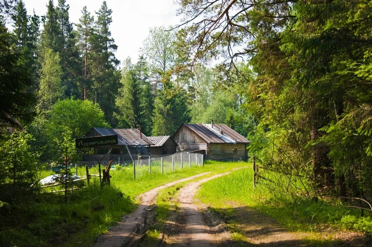Фото поселка таежный