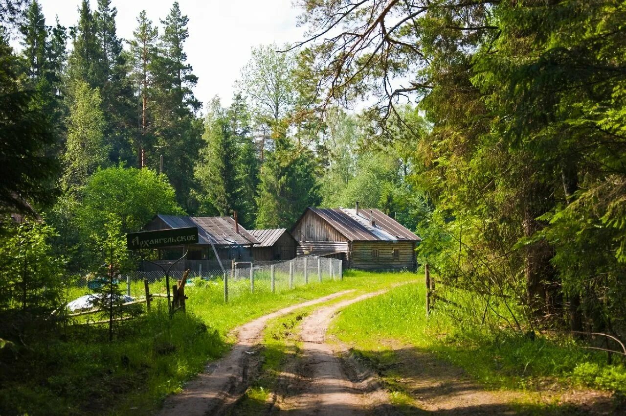 Деревня Околица Тверская область. Поселок Таежный Пермский край. Деревня ряд Удомельский. Посёлок Таёжный Тайга.