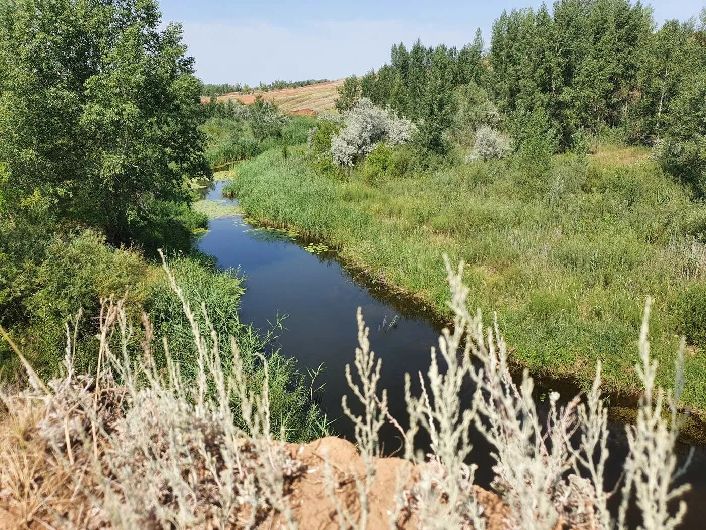 Реки оренбуржья. Уртя Буртя Оренбургская река. Гребени Оренбург речка. Оренбург природа.