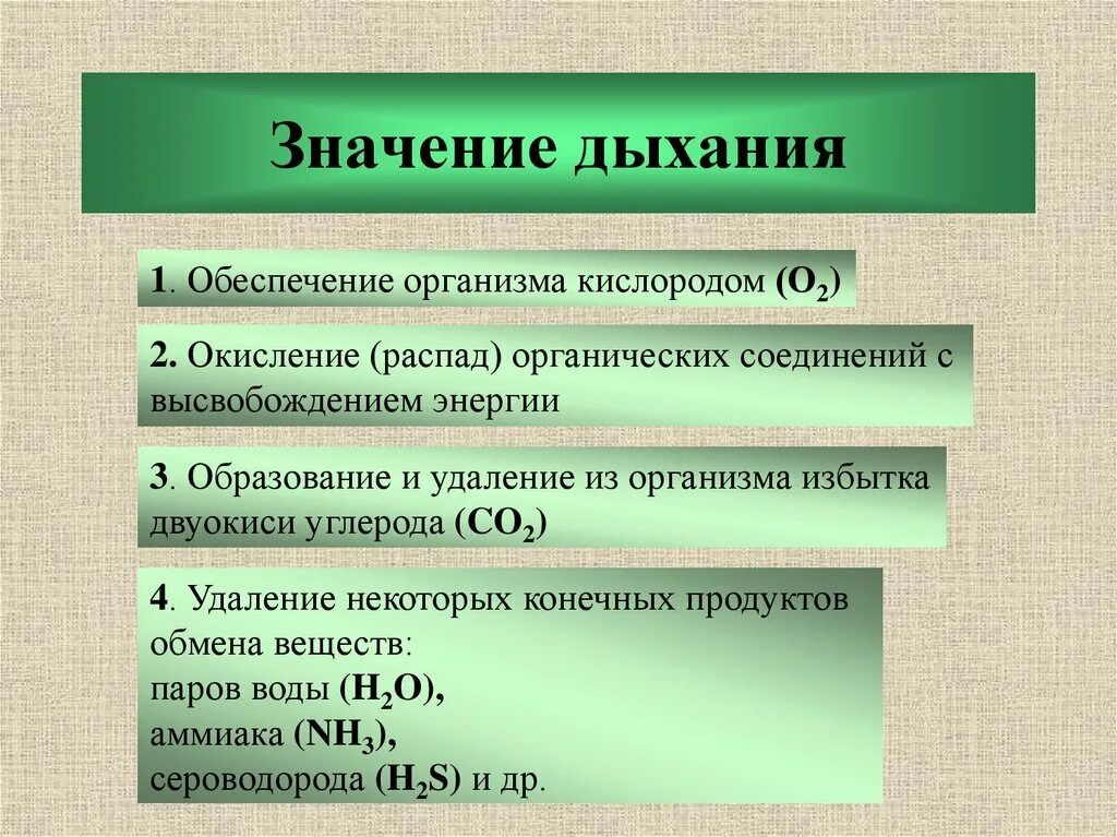 535 значение. Значение процесса дыхания. Значение дыхания для организма. Значение двтельной системы. Процесс дыхания значение для организма.