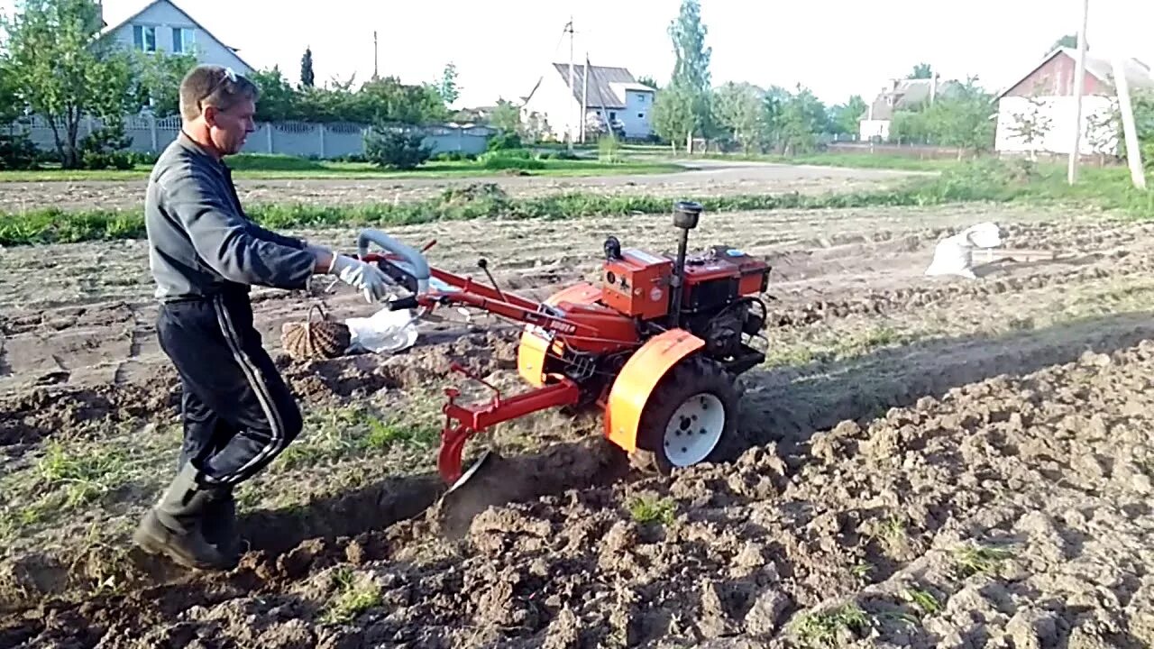 Картошка под плуг. Посадка картофеля под мотоблок плугом. Садим картошку мотоблоком. Посадка картошки мотоблоком.