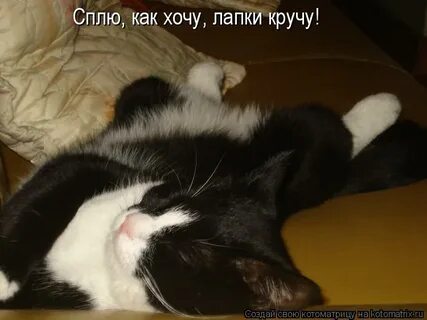 Хочу лапку