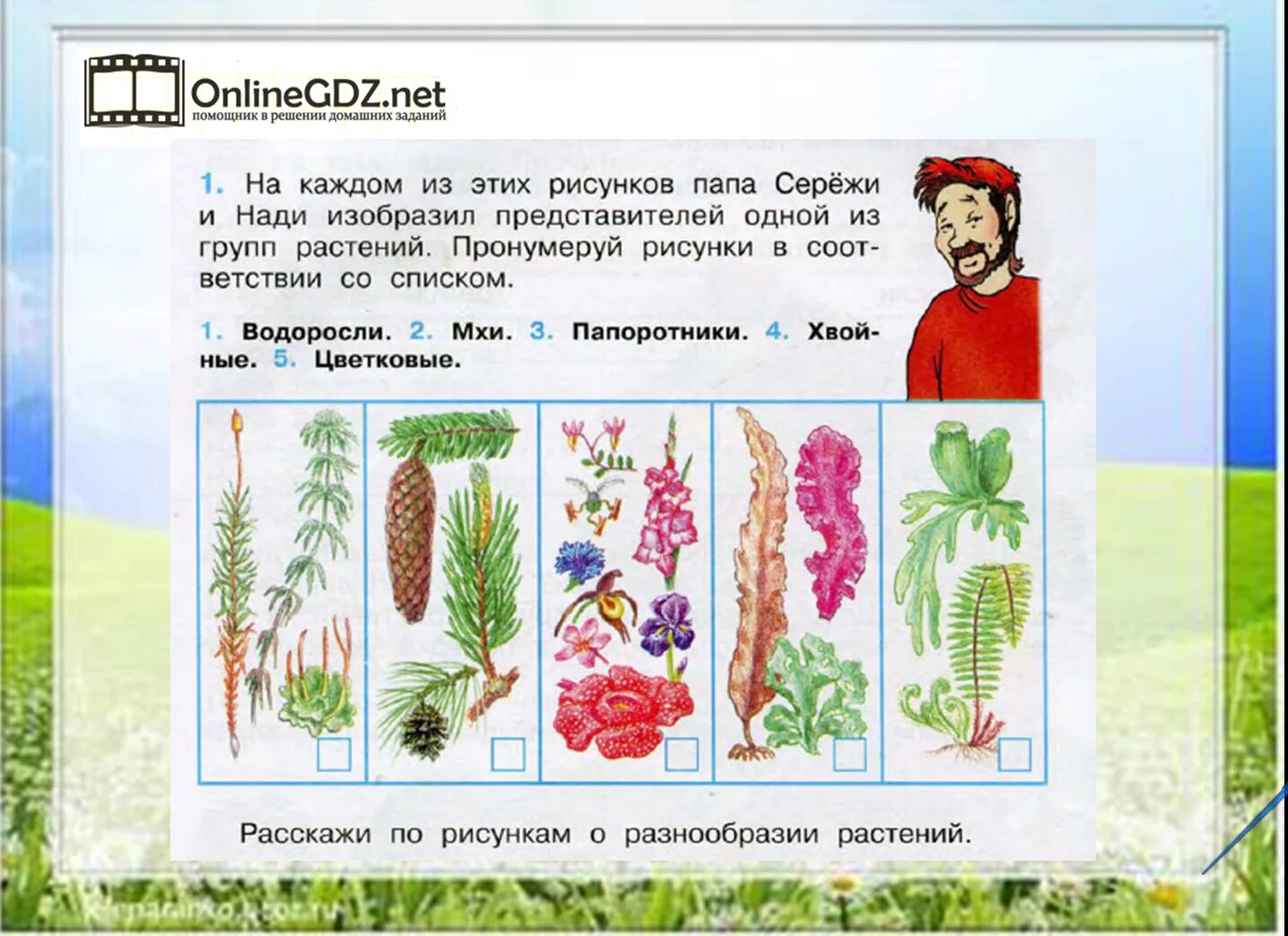 Плешаков 1 класс 1 часть ответы. Задания по теме разнообразие растений. Мир растений 3 класс окружающий мир. Растения в учебнике окружающий. Окружающий мир растения задания.