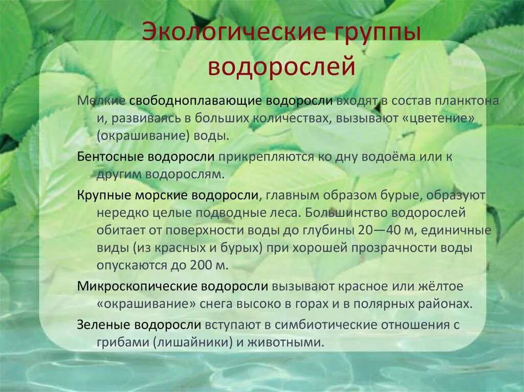 Водоросли входят в состав. Экологические группы водорослей. Бентосные водоросли практическое значение. Тест экологические группы водорослей. Экологическая группа водорослей планктон особенности.