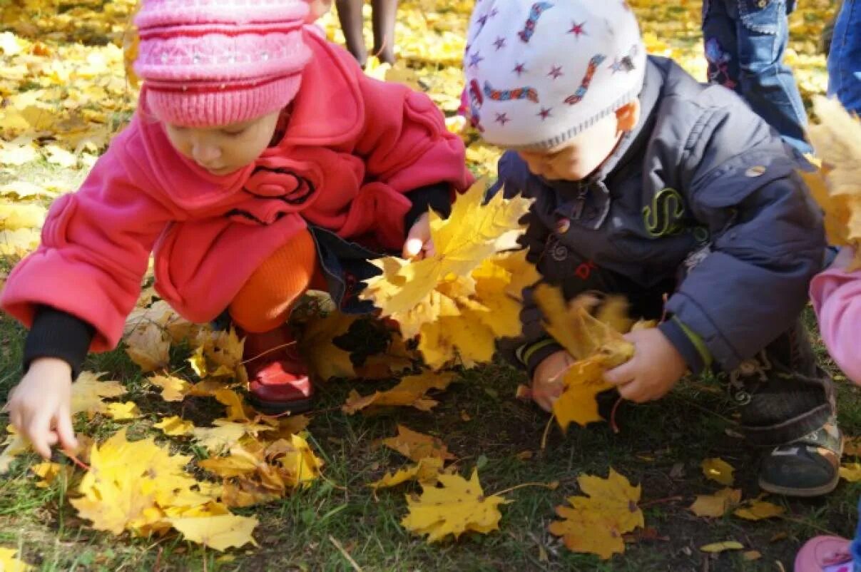 Наблюдать осенний. Дошкольники на прогулке. Прогулка в детском саду осень. Наблюдение с детьми на природе осенью. Прогулка в детском саду осенью.