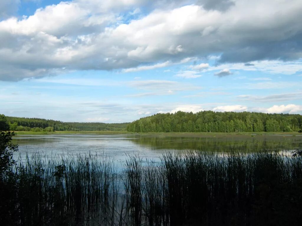 яхромское водохранилище. яхромское водохранилище. шлюз яхромское водохранилище. свистуха яхромское водохранилище. яхромское водохранилище.