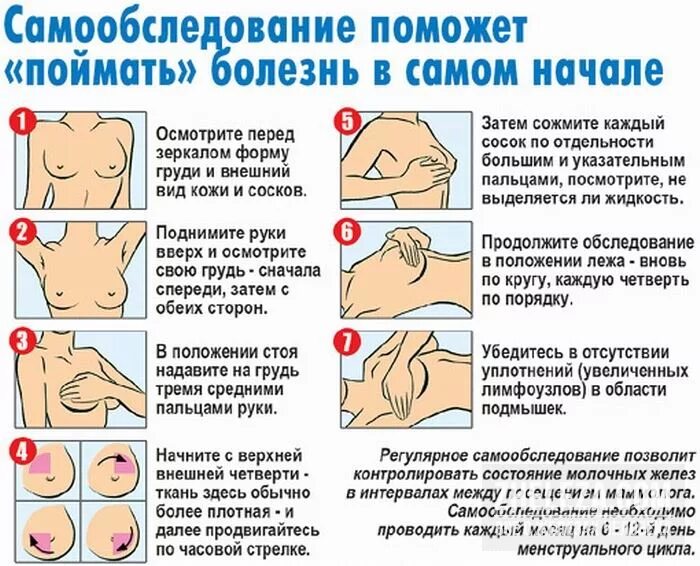 Когда начинает болеть молочные железы. Самообследовование молочных желез. самообследование молочных желез. болеть.
