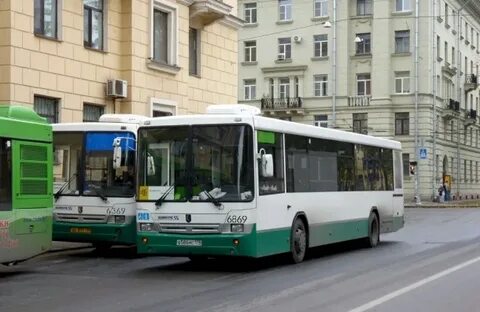 46 автобус спб