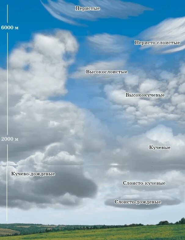 Виды облаков. Какие облака находятся в тропосфере. Слова связанные с облаком. Из каких облаков выпадает дождь.