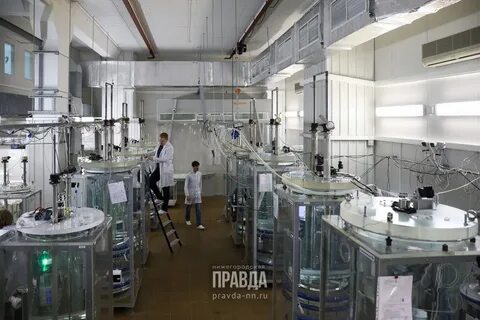 Физики ран