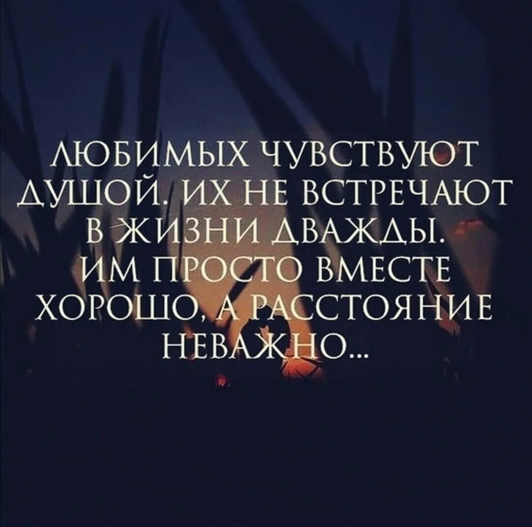 Чувствуй жизнь цитаты. Мудрые слова о любви на ростояни. цитаты про чувства. афоризмы про вместе. мудрые высказывания о любви на расстоянии.