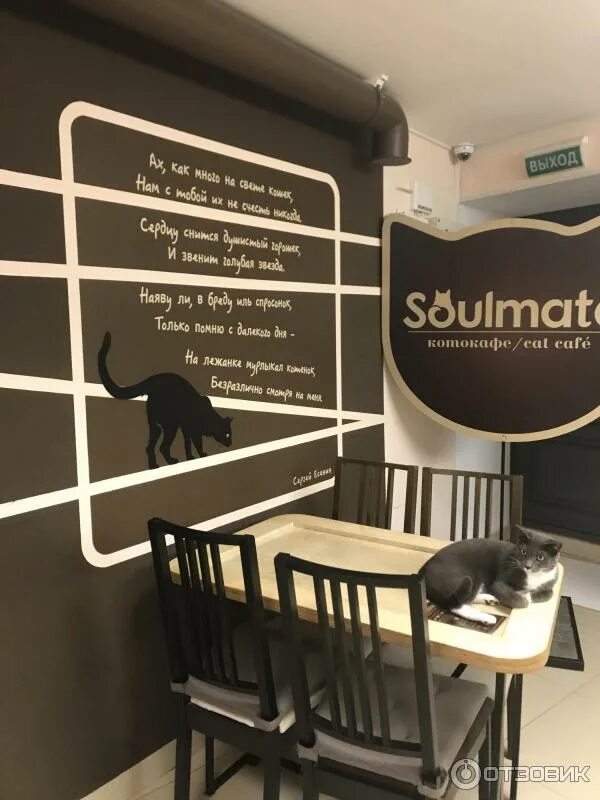 anti-cafe's Kotokafe Mao in specifics, Советская улица, 45А - Yandex Maps