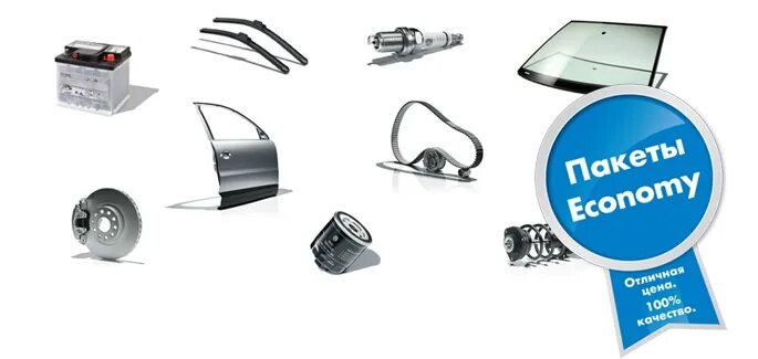Economy parts. вторая линейка запасных частей economy parts. что значит economy vag. шкворня хендай hd 120. ремкомплект шкворня hd 120.