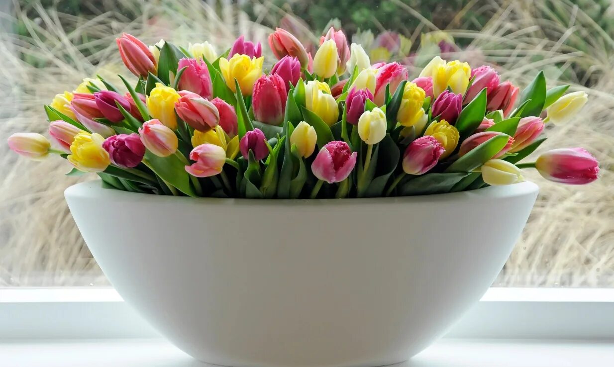 Поздравляю с хорошими новостями. Букет тюльпанов с добрым утром. Весенние тюльпаны. Весеннего настроения тюльпаны. Тюльпаны для настроения.