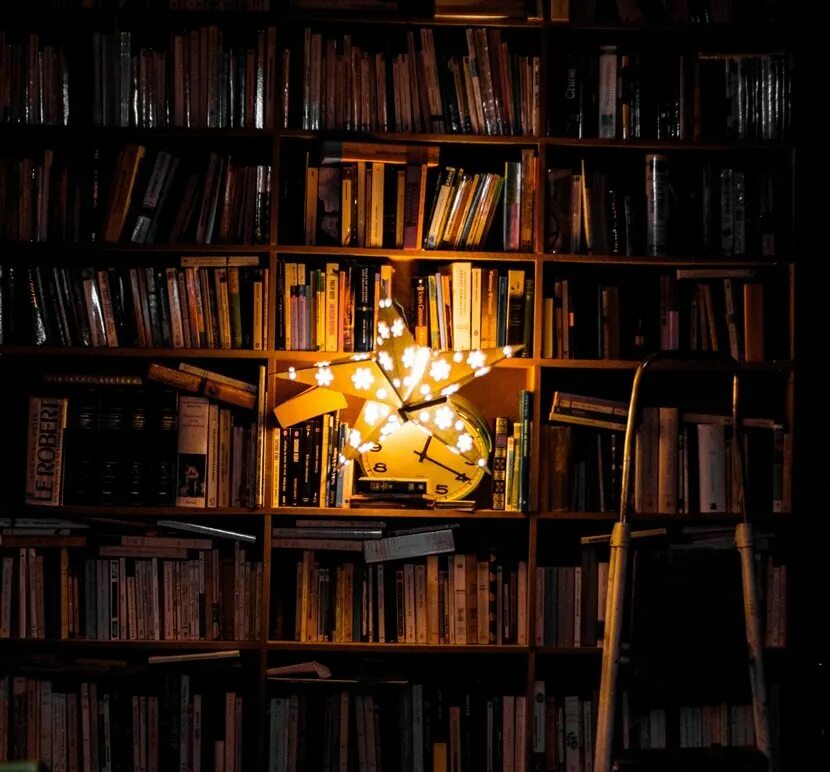 Ночной книжный магазин. Книжные полки. Книги обои. Ночь в библиотеке. Чтение книг на ночь.