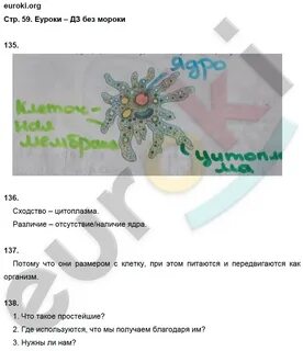 Решение по биологии 5