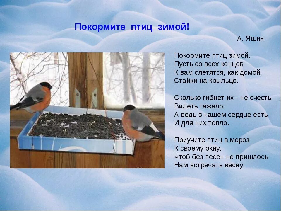 Стихотворение покормите зимой. А.Я.Яшин «Покормите птиц зимой». Стихотворение Яшина Покормите птиц. Яшин Покормите птиц зимой стих. Покормите птиц зимой стихотворение.