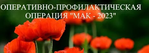 Мак 2023