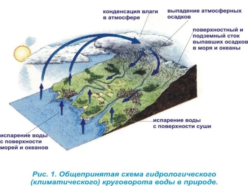 Роль испарения в природе. Внутриконтинентальный круговорот воды. схемы природных процессов. круговорот подземных вод. круговорот влаги в природе.