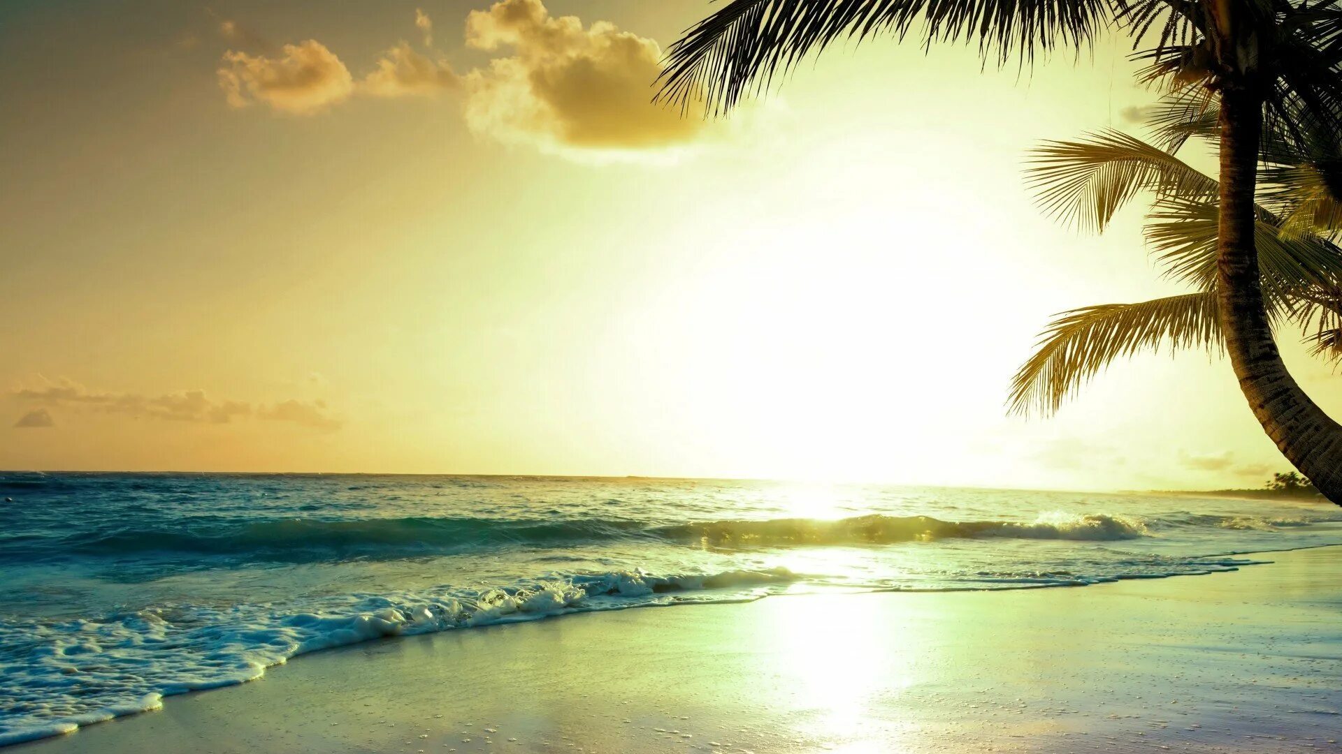 Обои планшет 10 дюймов. Пляж фон. Солнце пляж. Фон море. Море солнце пальмы.